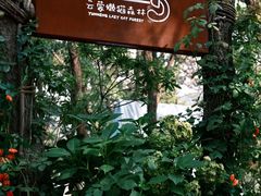 -沂蒙山旅游区云蒙景区(蒙山国家森林公园)