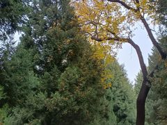 -月坛公园