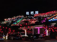 -枇杷园食为鲜火锅(南山店)