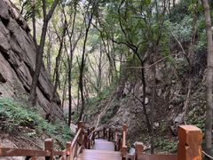 -大岭沟猕猴桃谷风景区