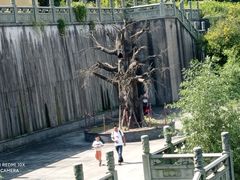 -南京市江宁方山