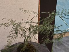 -奈雪茶院·茶室茶馆(广州粤海天地店)