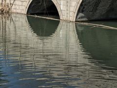 -昆山城市生态森林公园