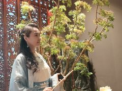 -金狮麟·新豫菜(杏石口路店)