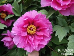 -燕郊植物园