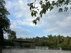 -大亚湾红树林城市湿地公园