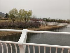 -羊亭河湿地公园