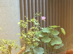 -王府茶楼茶宴·创意菜(朝阳公园店)