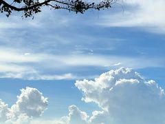 -火炉山森林公园