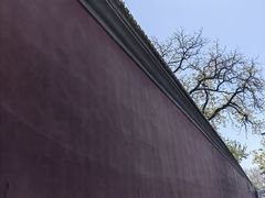 -雍和宫