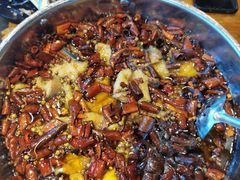 水煮鲶鱼-望京一号·重庆江湖菜(工体店)