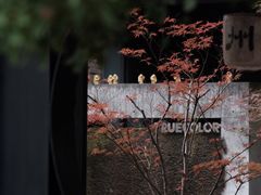 -苏州本色美术馆