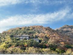 -石老人观光园