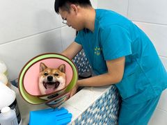 -天宠宠物医院24小时·急重症诊疗中心·全科·腔镜特色(和平分院)