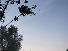 -北京麋鹿生态实验中心
