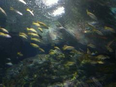 -上海海洋水族馆-停车场