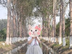 -东郊湿地公园