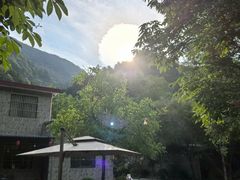 -沣峪口