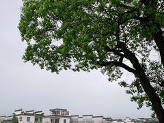-塔川景区