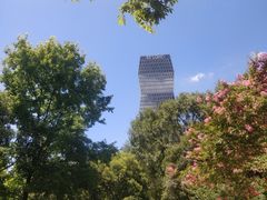 -新虹桥中心花园