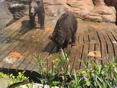 -海南热带野生动植物园