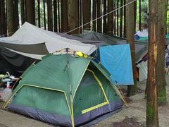 -武陵山森林公园