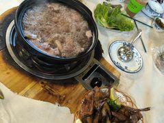 -一煲鸽