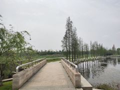 -艾溪湖湿地公园