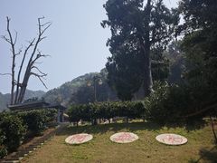 -灵光寺