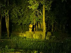 -清迈夜间动物园