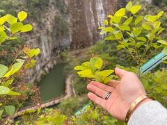 -黄花溪