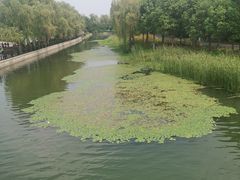 -石湖景区