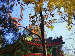 -宣武艺园