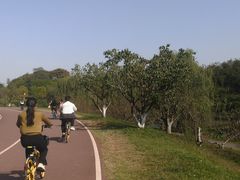 -白鹭湾湿地公园