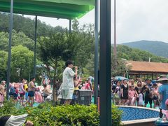 -苏州乐园森林水世界