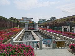 -百万葵园