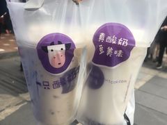 -一只酸奶牛(八一路店)