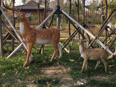 -武清南湖绿博园