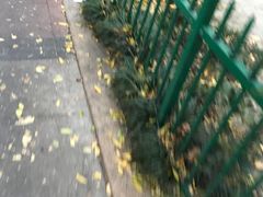 -沙河三洞古桥公园
