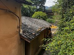 -杨家堂村