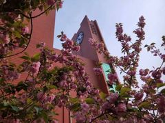 -山东大学(软件园校区)