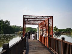 -大湾区中央湿地公园