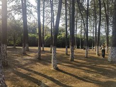 -艾溪湖湿地公园