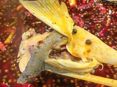 -七椒渔府·特色雅鱼餐厅(雨城店)