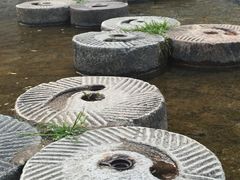 -牛背梁国家森林公园