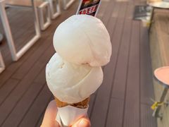 -Mint Gelato(二厂店)