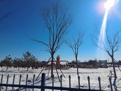 -绿野森林乐园冰雪季