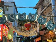 -猫咪博物馆(顶澳仔猫街店)