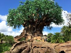 -奥兰多迪士尼动物王国乐园