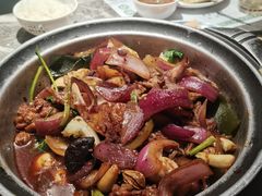-禄婶鸡煲·打边炉